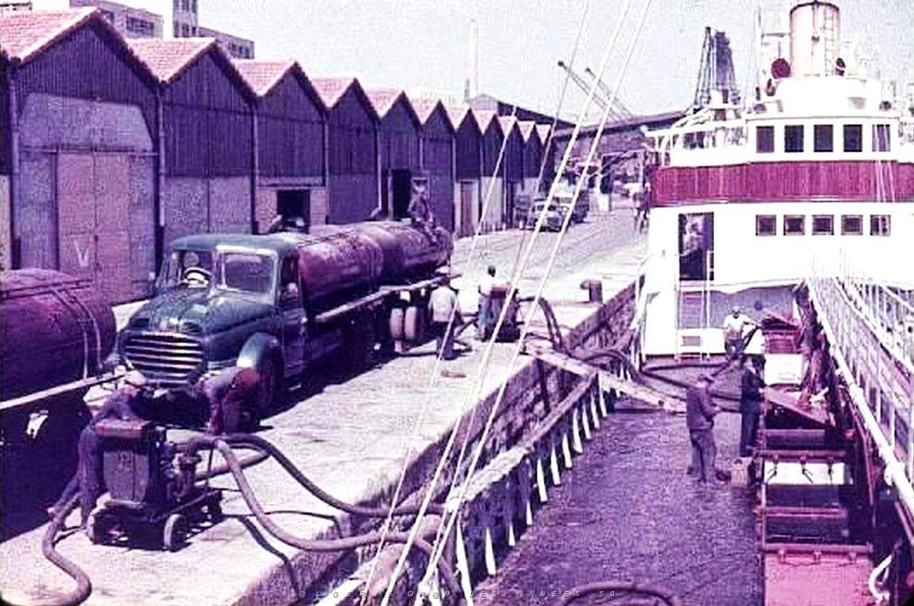 Oran- 097- travail sur les quais.jpg